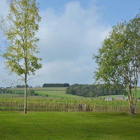 Villa Petit Coin De Paradis Somme-Leuze Zimmer foto